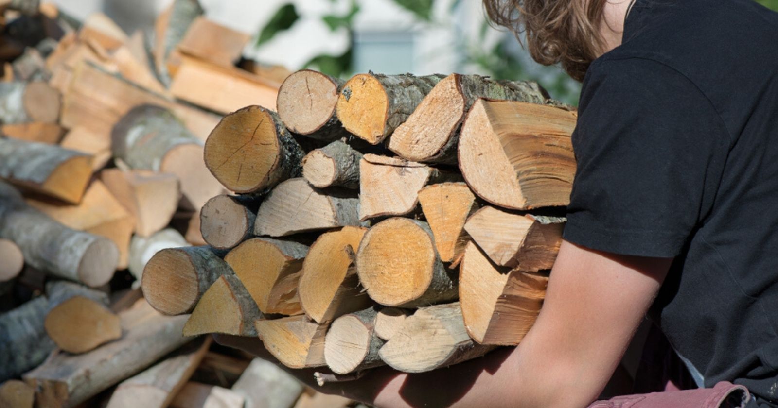 Where to buy firewood for your fireplace?

