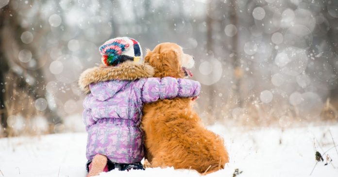 A child survives 18 hours in a snow storm thanks to the help of a stray dog

