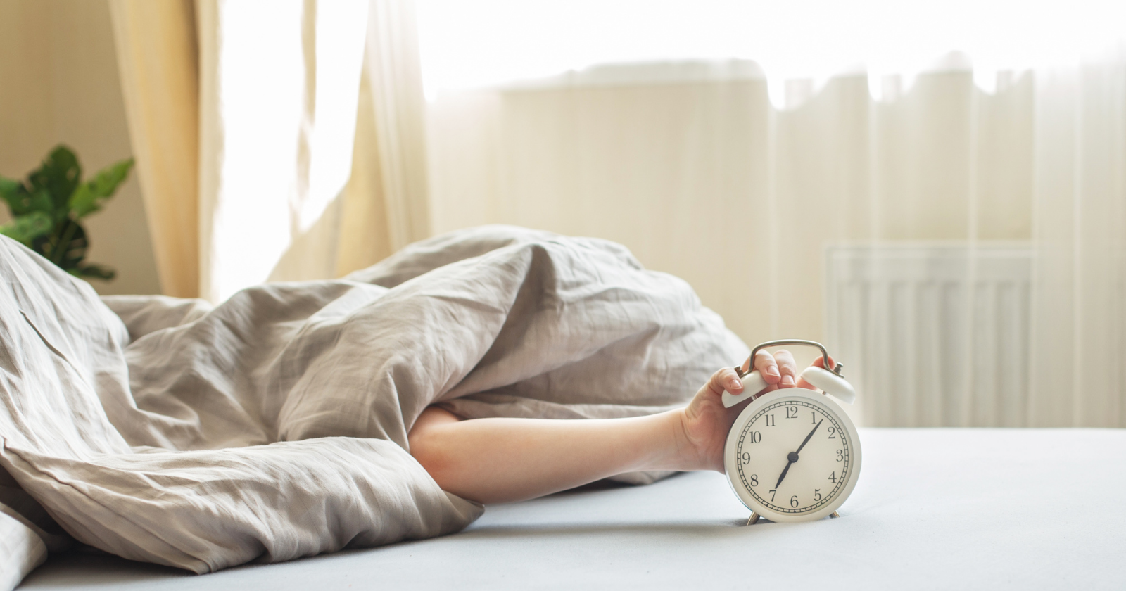 Did you not sleep all night?  Here are 8 tips for surviving the next day.
