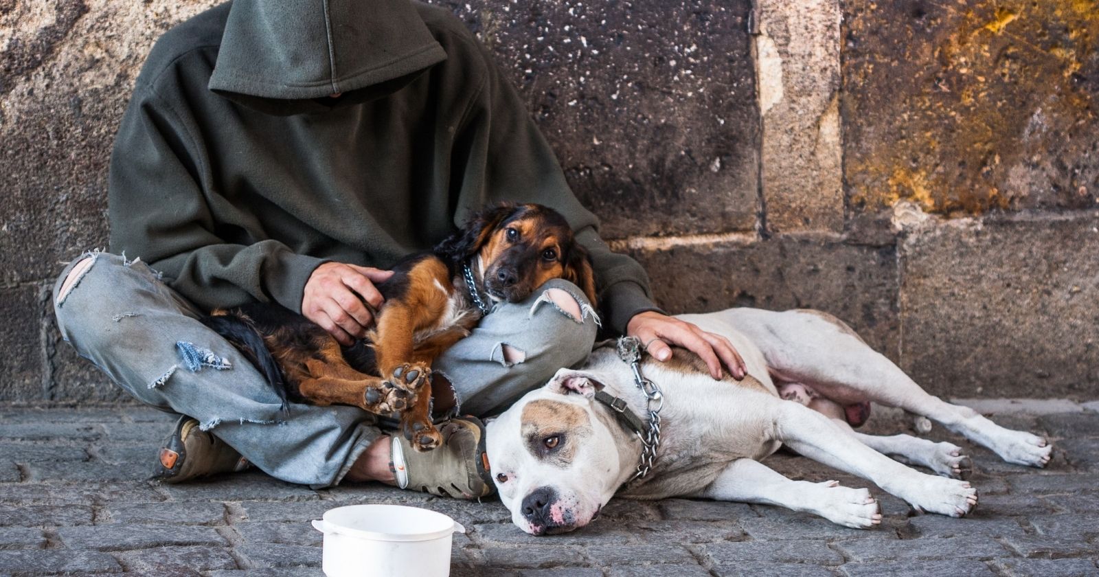 Homeless people: social ties, the key to moving from exclusion to reintegration