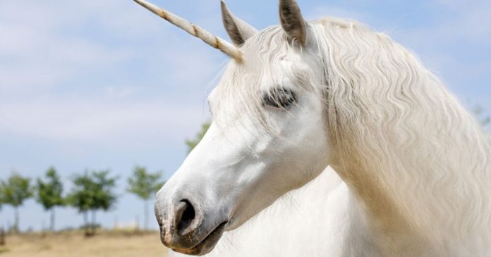 Unicorns would have existed and coexisted with the first humans

