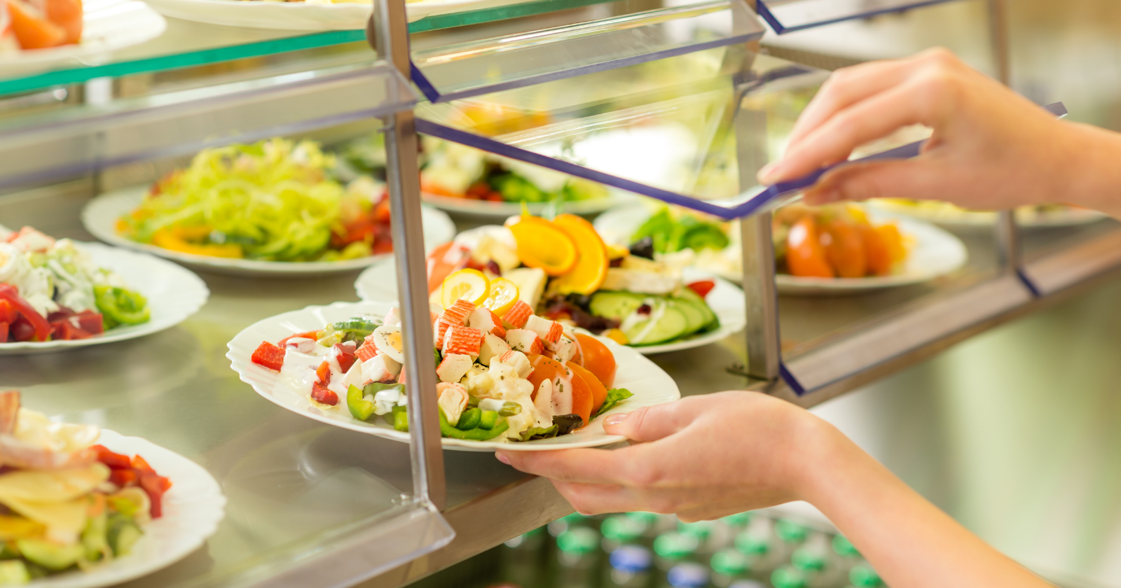 École, université, entreprise : comment obtenir un choix végétarien quotidien dans sa cantine ?