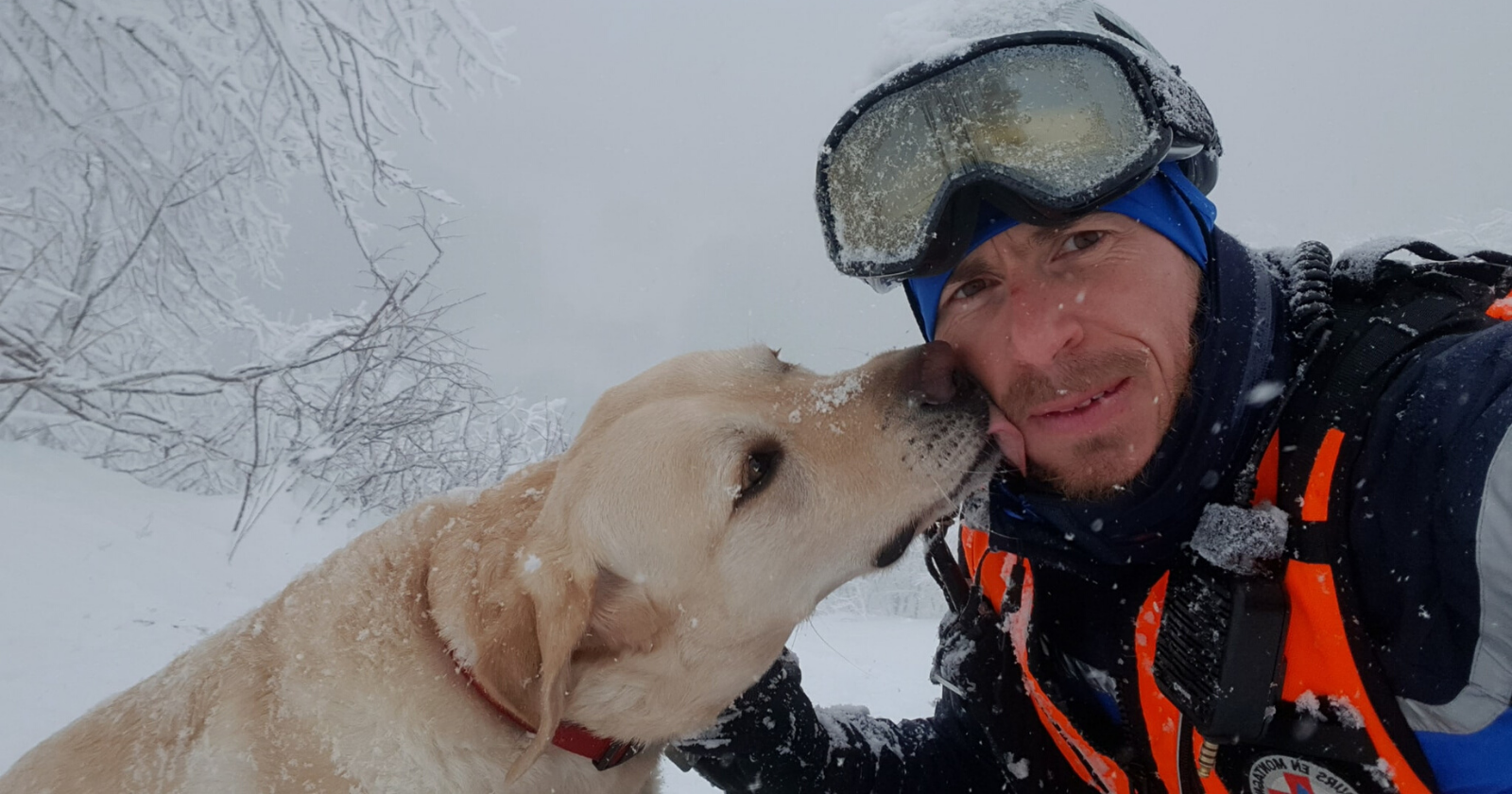 Osmose, a 7-year-old guide dog for the blind, was rescued by the gendarmes after falling from 150 m