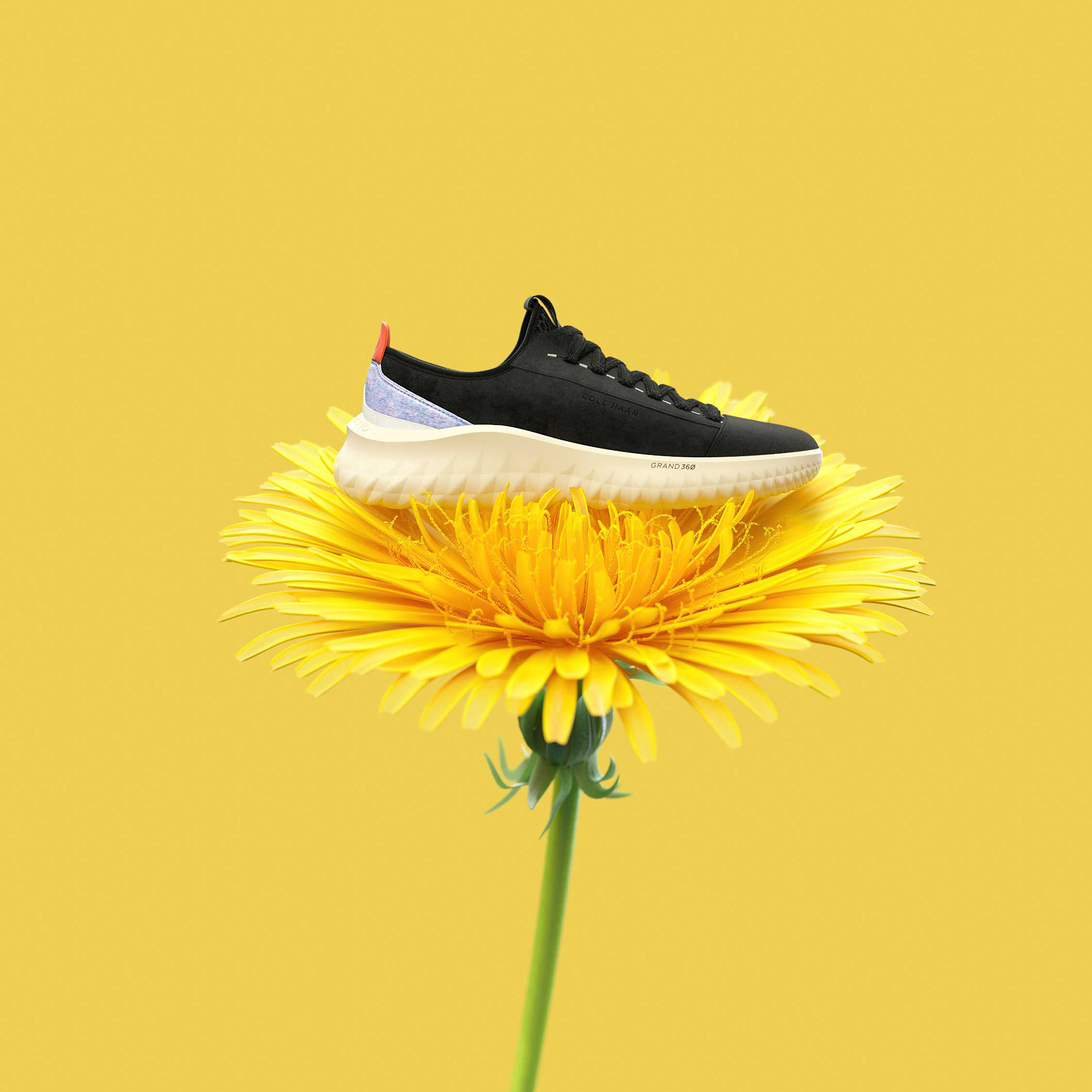 American brand Cole Haan launches pair of sustainable sneakers made from dandelion