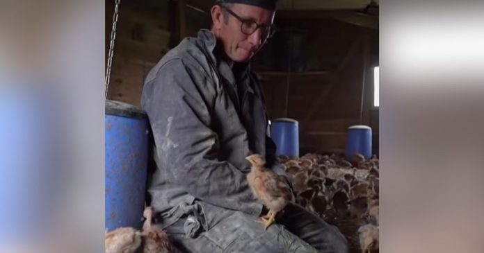  VIDEO.  For 20 years he has resisted intensive farming and his farm is a 