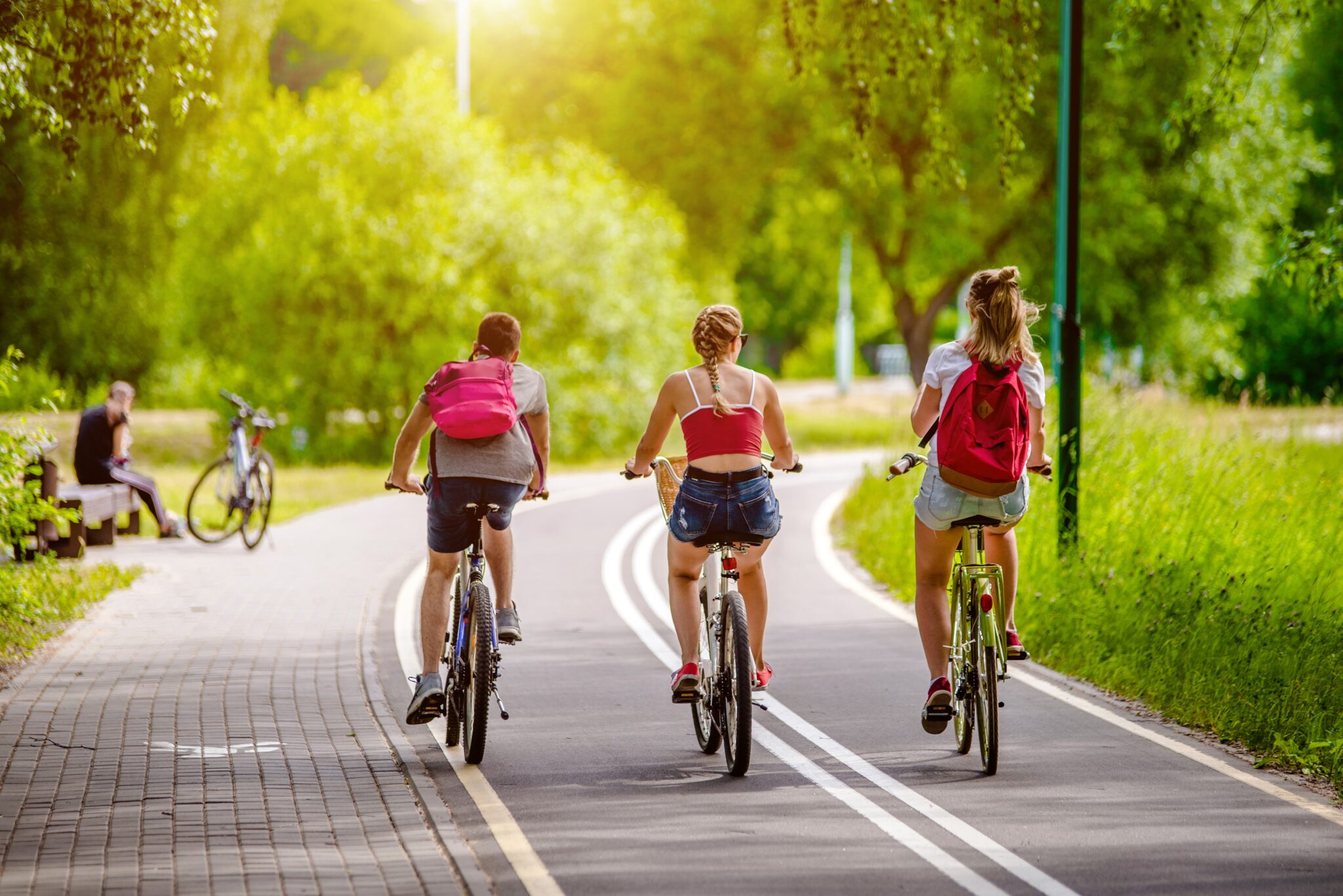 Cycle path: 5 essential criteria to promote the circulation of bicycles