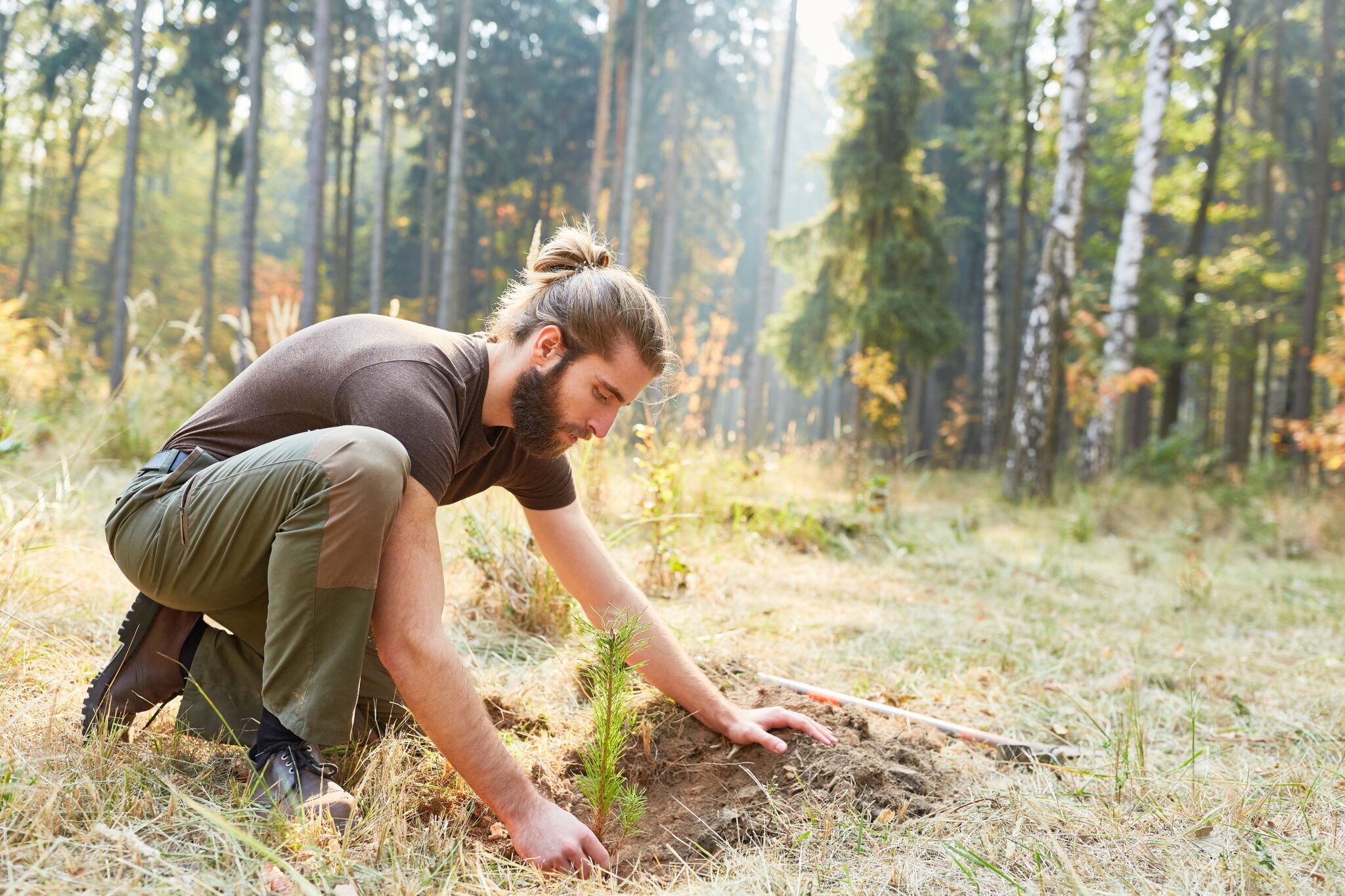 No, just planting trees is not enough to achieve carbon neutrality