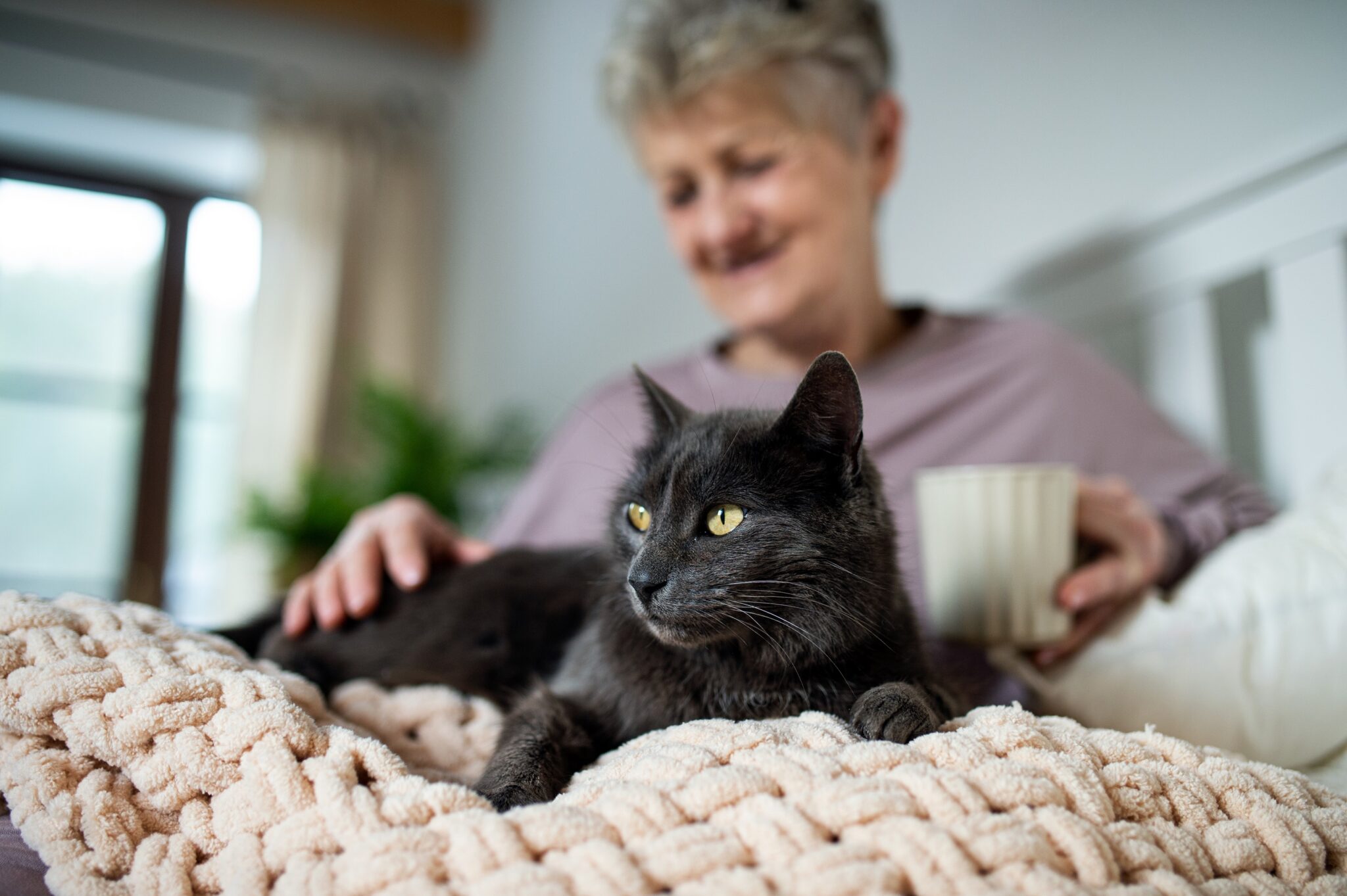 This study proves it: having a pet is good for your health