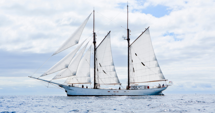 Sustainable transport: this sailboat crossed the Atlantic to bring 22 tons of coffee to Bordeaux

