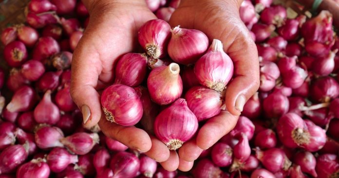  Do you like shallots?  Here are 4 tips for growing them in your vegetable garden.


