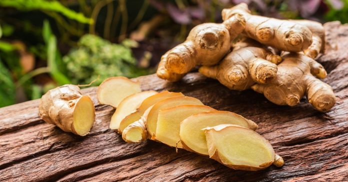  How to grow ginger?  Our simple and accessible tips.

