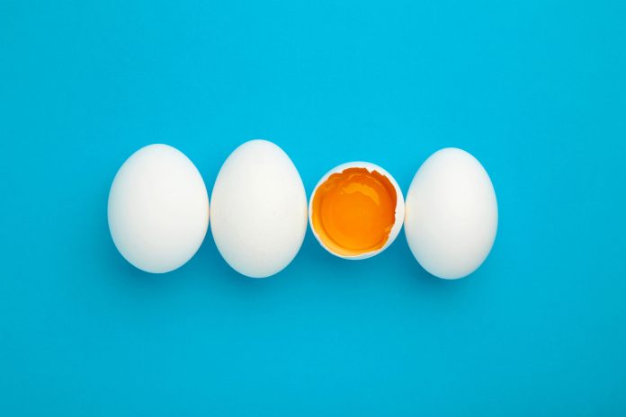 In the United States, sales of vegan egg alternatives have increased by 1000% in three years

