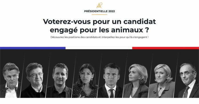 Presidential 2022: L214 challenges the candidates with 5 proposals to improve the condition of the animals

