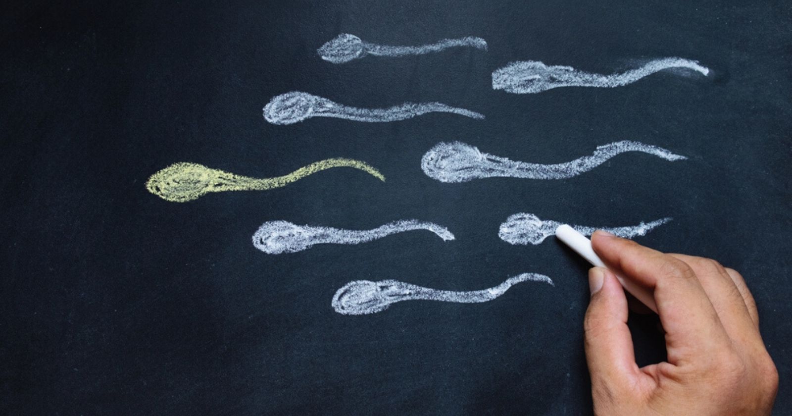 PMA: Sperm and egg donation reached record high in 2021
