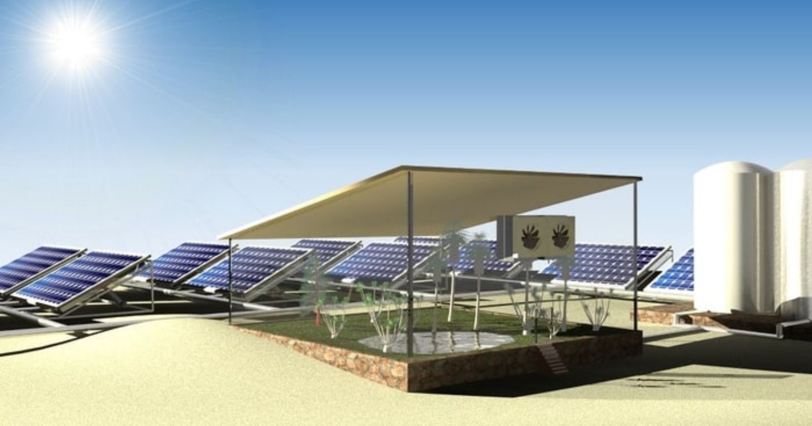 This spinach grows in the middle of the desert thanks to funny solar panels