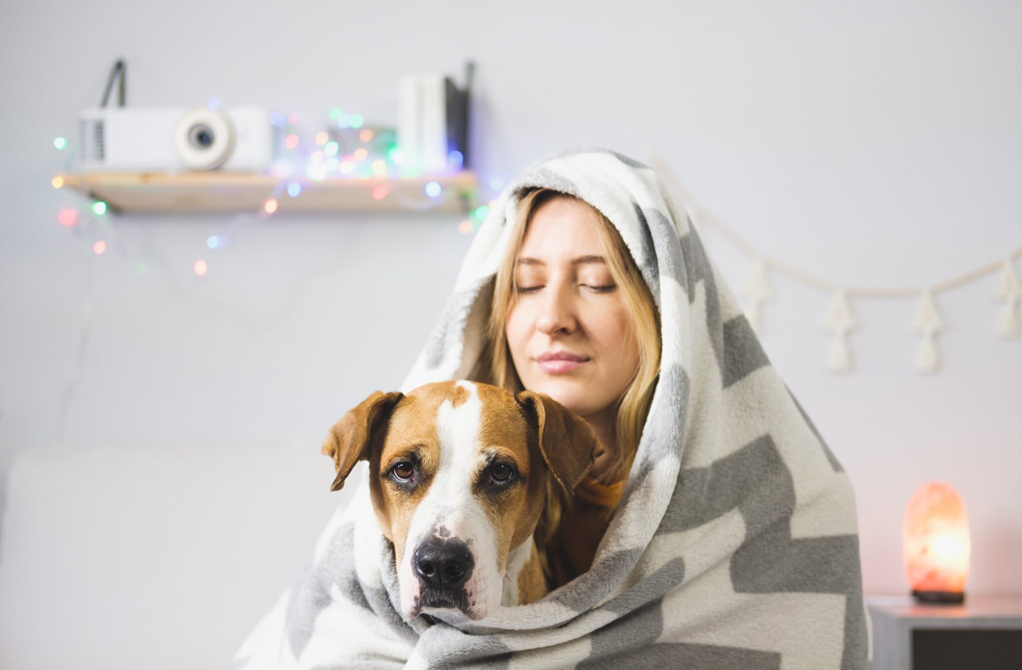 In the hospital, the presence of dogs can help soothe patients' pain