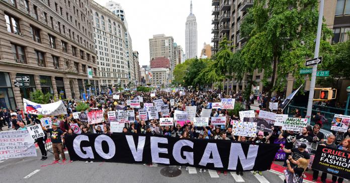 March 20 has been officially declared Meat Free Day in New York.


