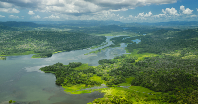 Panama: A law gives nature 