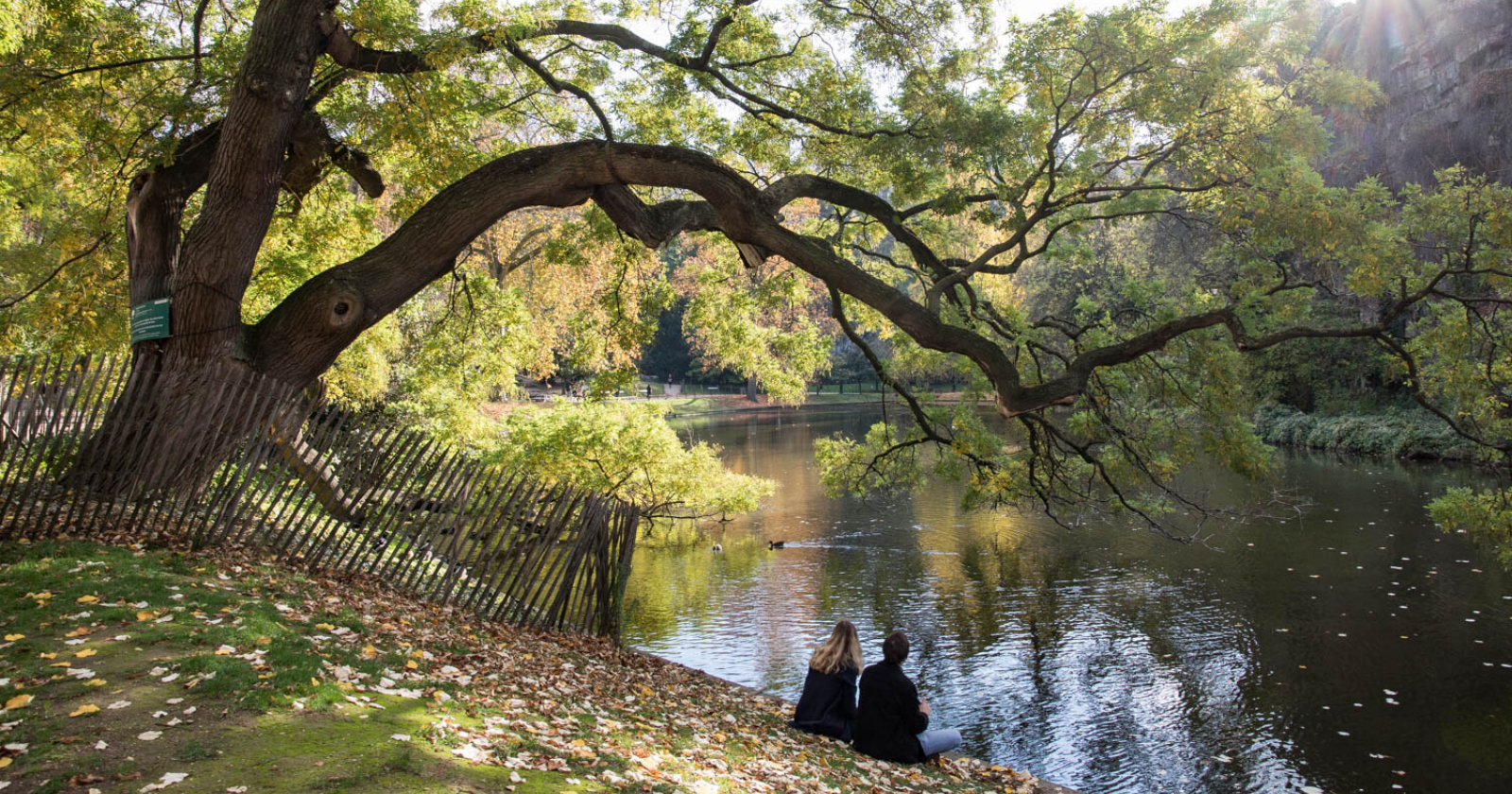 Paris invites its inhabitants to place the "remarkable trees" on a special site