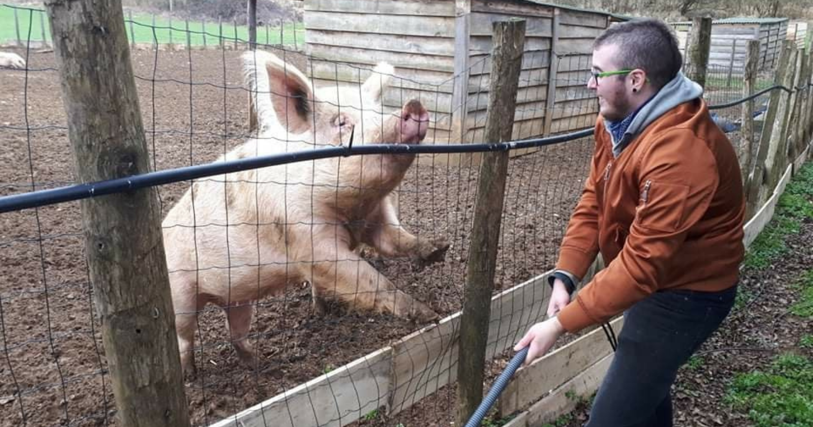 At the "Feather Weight Sanctuary" laboratory animals are entitled to a second life