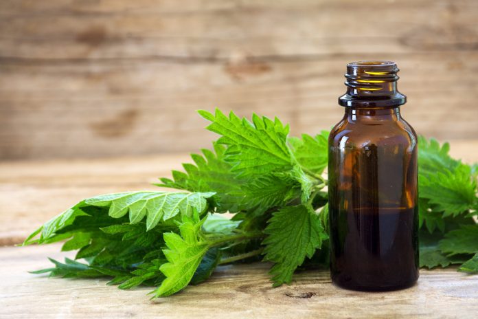 Cosmetics: nettle, the new miracle ingredient?


