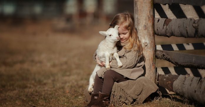 Absent during childhood, speciesism appears during adolescence

