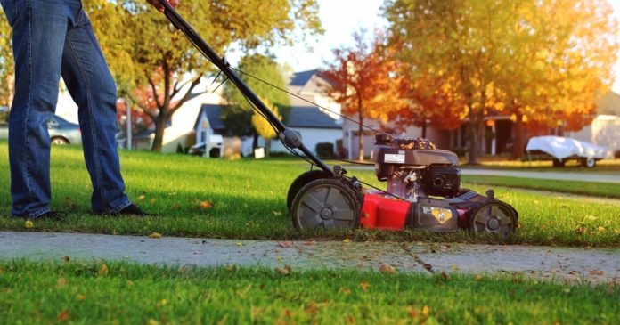 Barbecue, lawn mower, maintenance: what can and cannot be done in your garden?

