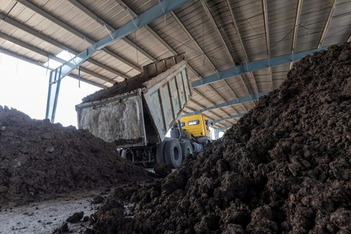 India is investing in cow manure, a promising sustainable energy source

