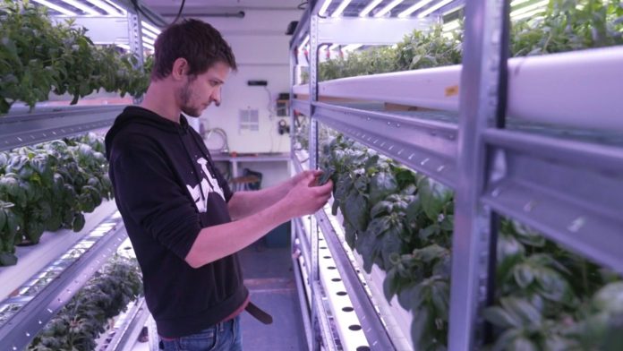 Installed in a former parking garage, the urban farm Champerché grows vegetables above ground

