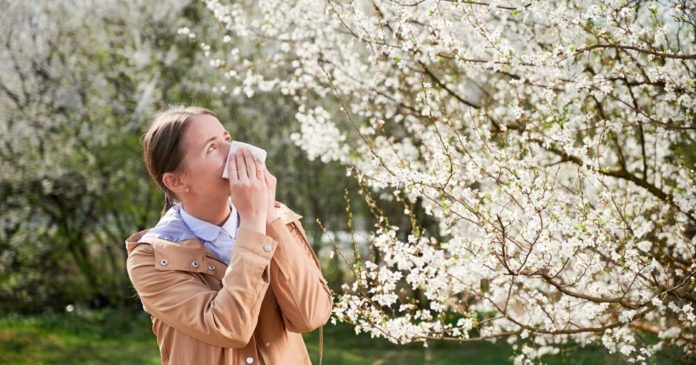 Pollen allergies: 7 allergenic plants that are not allowed in the garden

