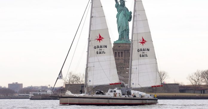 Transporting wine by sailboat: the good idea to save time and reduce your CO2 impact


