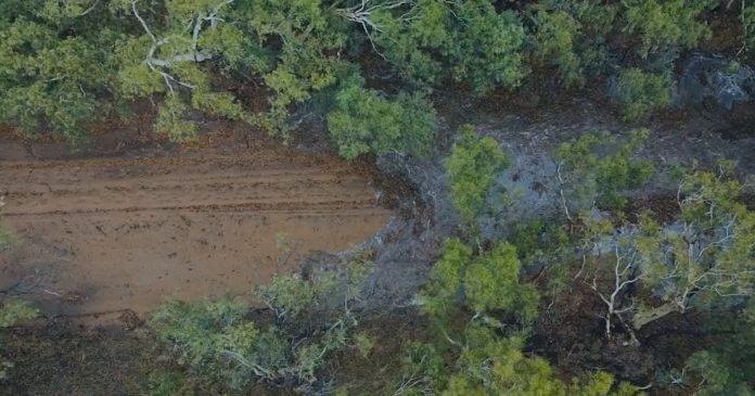  VIDEO.  A dried-up river comes to life in Australia: rare and fascinating images

