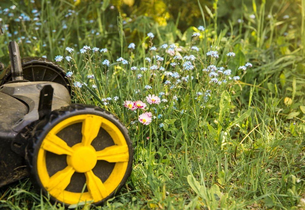 Mowing the lawn: 6 good reasons to quit