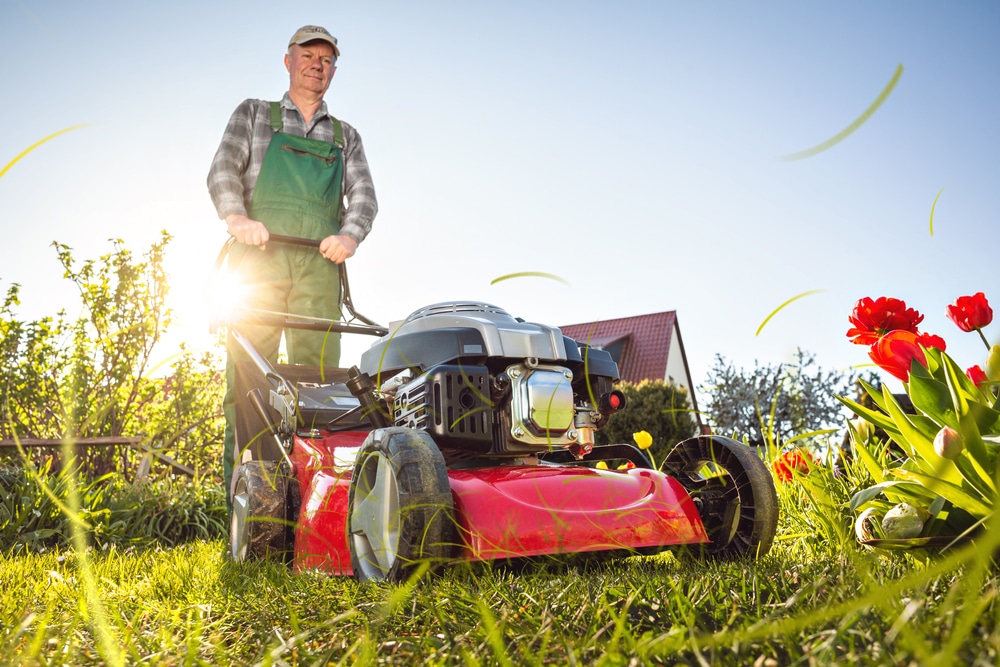 Mowing the lawn: 6 good reasons to quit