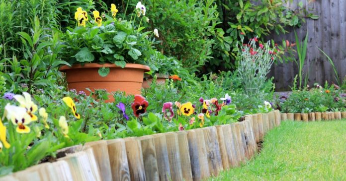 Garden: 5 creative borders and 100% recycling for your flower beds


