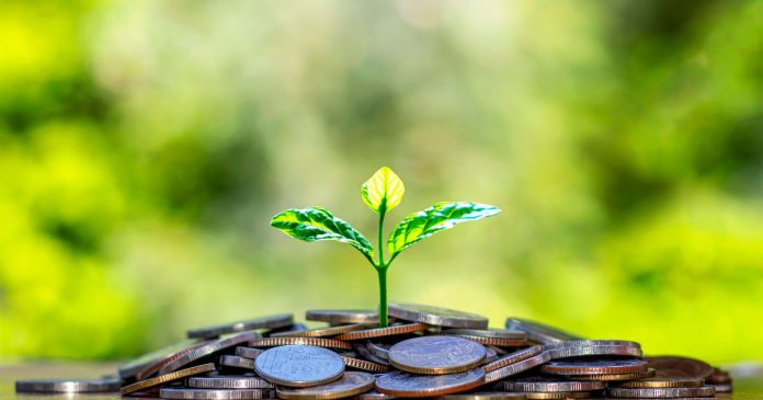 Green finance: marketing managers find CSR essential

