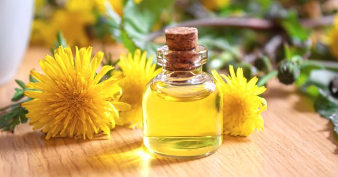  How do you make dandelion oil?  Here is the recipe for this soothing and restorative macerate.

