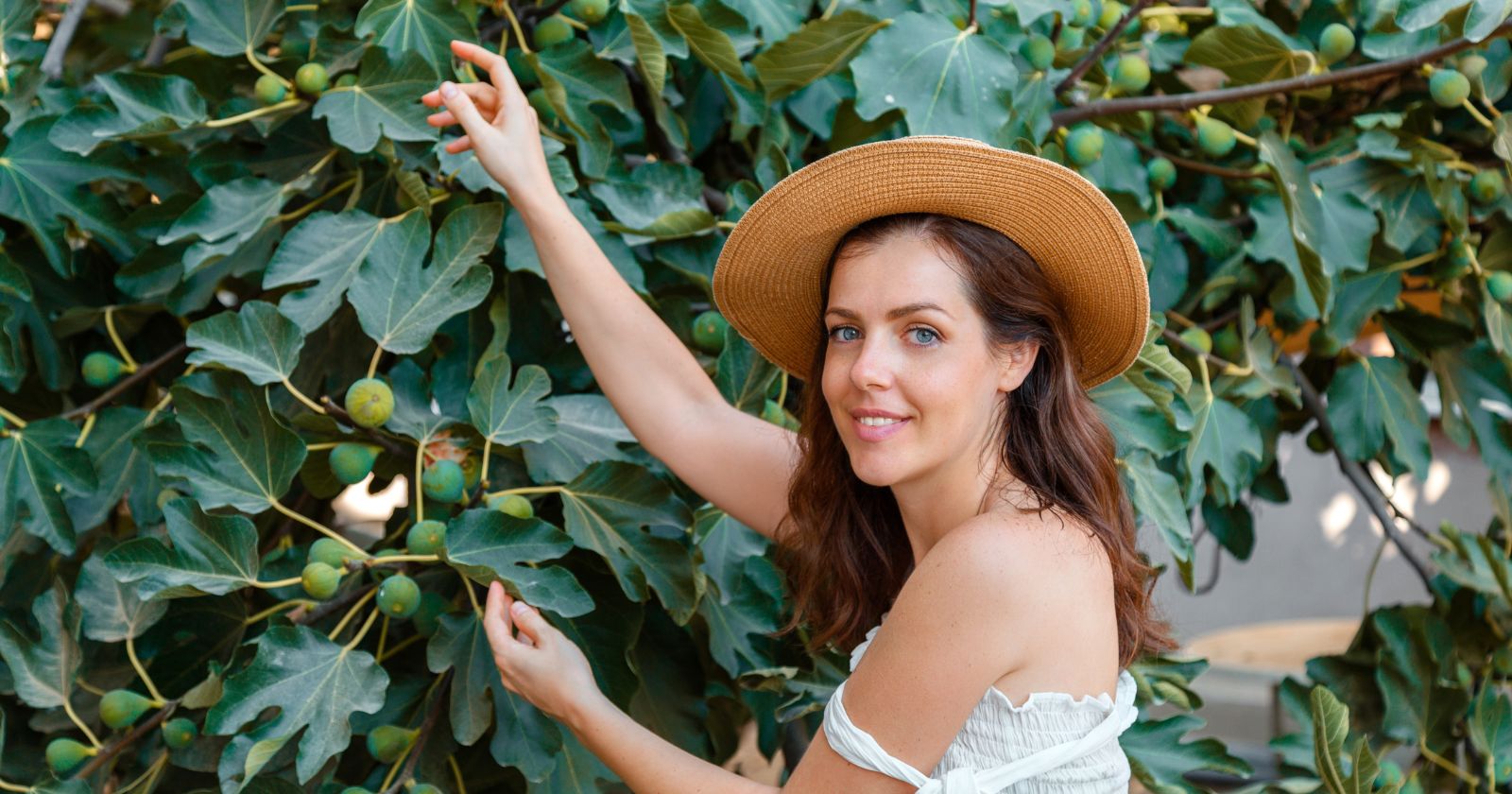 How to grow a fig tree: 5 questions to ask yourself before you start