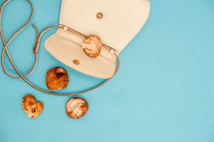 In fashion, the mushroom stands out as a plant-based alternative to leather

