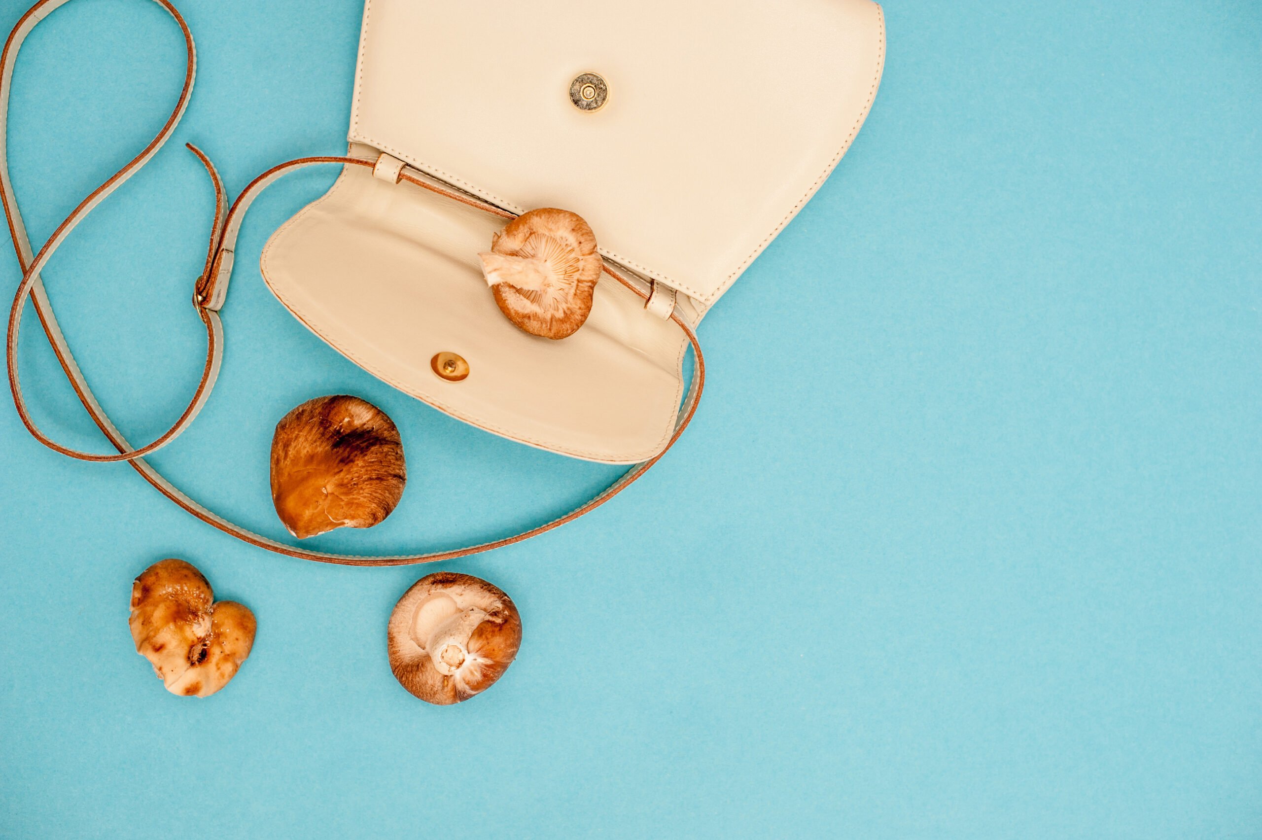 In fashion, the mushroom stands out as a plant-based alternative to leather