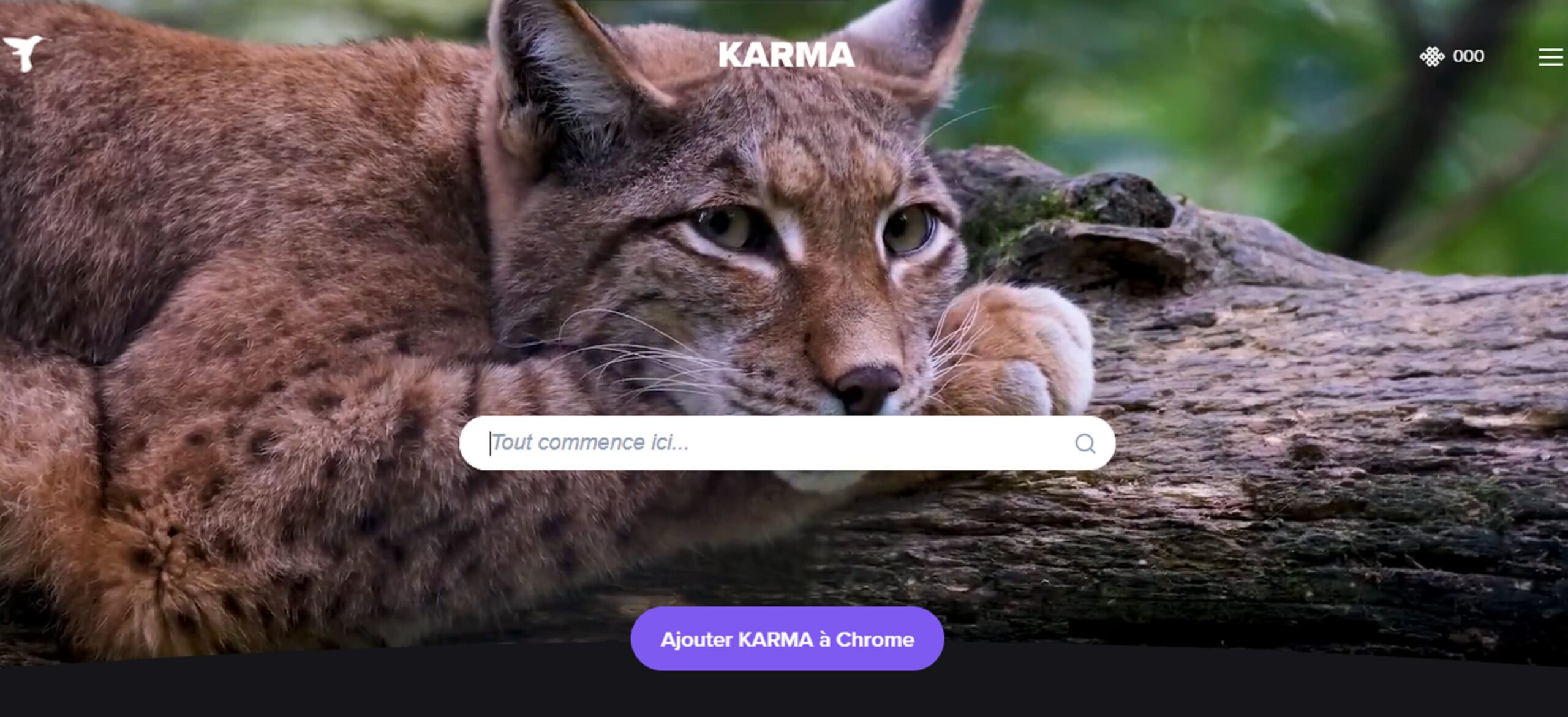 Karma, the new search engine that funds biodiversity conservation