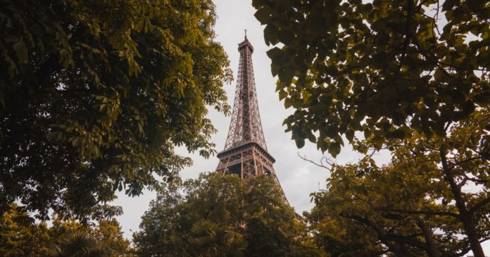 Paris City Hall abandons its plan to cut down trees at the base of the Eiffel Tower

