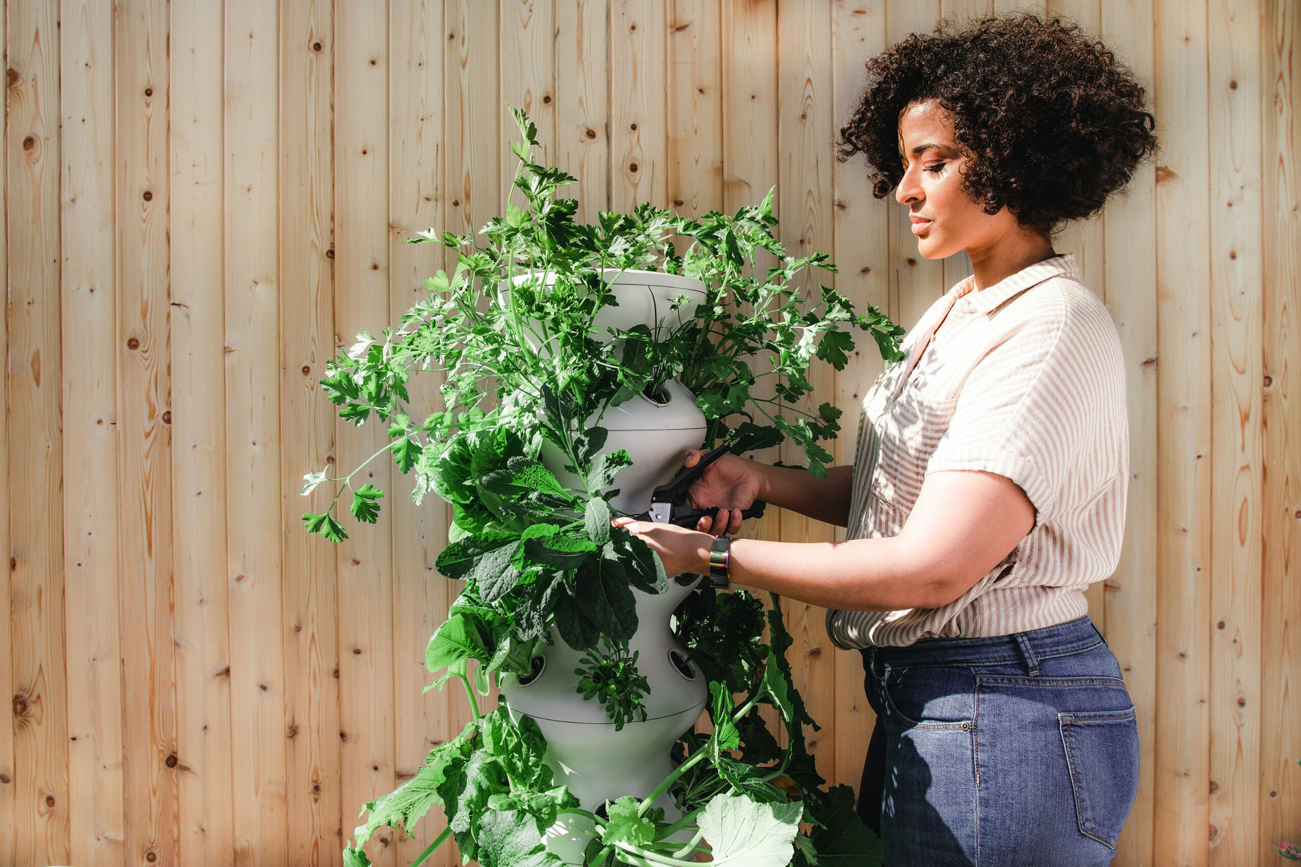 "Plant Moms": Tips for Greening Our Homes Flourish on TikTok