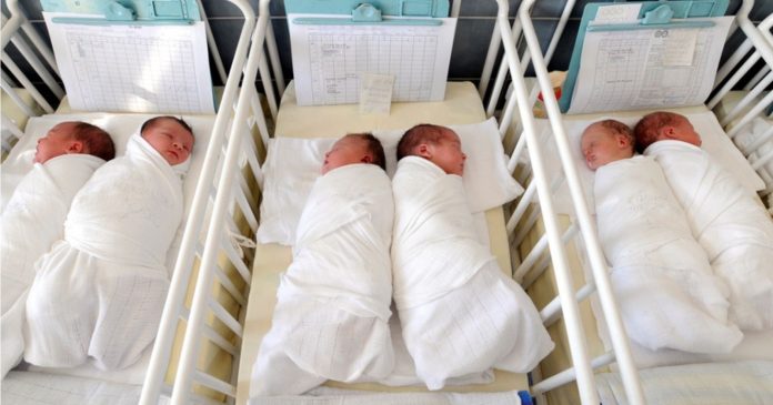 Should we regulate births to save the planet, as proposed by Jean-Marc Jancovici?

