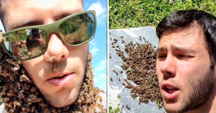 This young Greek beekeeper shares his passion for bees on Tik-Tok

