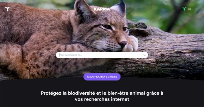 3 questions for the founder of Karma, the search engine that funds the protection of living organisms

