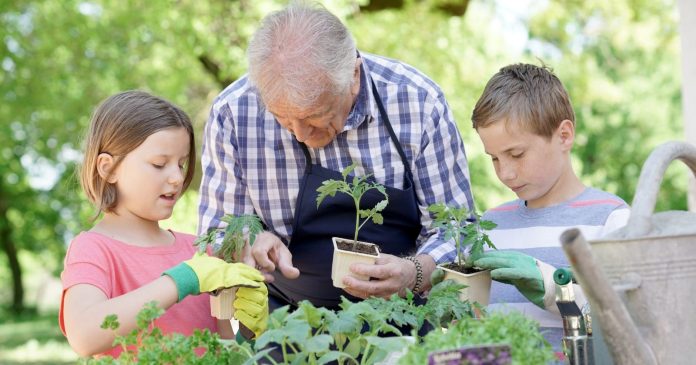 Committed to the Planet and Future Generations: Seniors Go Green

