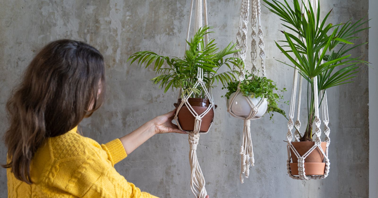 DIY and upcycling: 3 easy tutorials for hanging plants