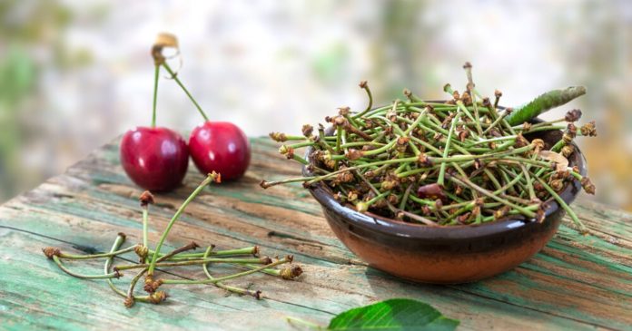 Do not throw away the stems of cherries, they are precious to your body

