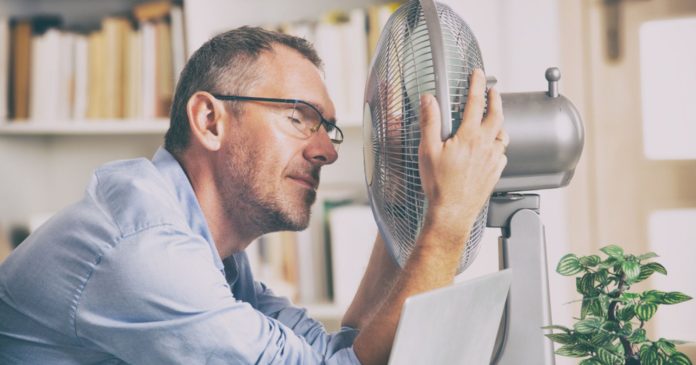 Heat wave: how to protect workers from high temperatures?

